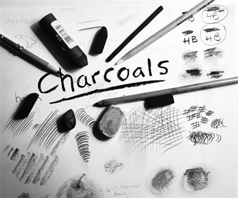 Online Class: Charcoal Drawing