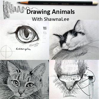Online Class: Drawing Animals