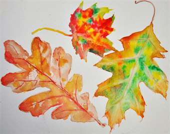 Online Class: Watercolors of Fall