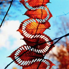 Eco Art: Twigs, Stones, and Leaves