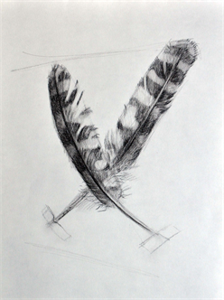 Online Class: Introduction to Charcoal Drawing