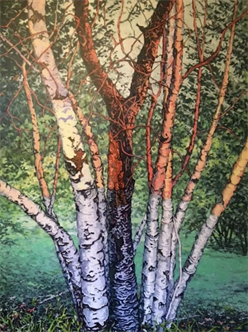 Art of the Forest: Painting Trees with Shain Bard | Fri 10 am - 1 pm | 6/9-7/14 | Summer 2023