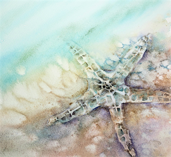 Under the Sea Watercolor Workshop with Lorraine Rimmelin | Saturday 6/29 | 10am-2pm | Spring 2024